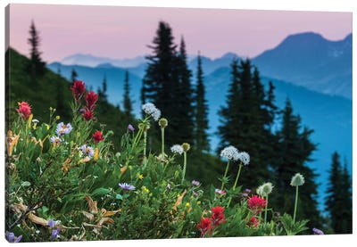 Canada, British Columbia. Idaho Peak, Alpine Wildflowers Blooming In The Subalpine. Canvas Art Print - Yuri Choufour