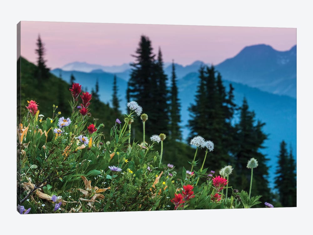 Canada, British Columbia. Idaho Peak, Alpine Wildflowers Blooming In The Subalpine. by Yuri Choufour 1-piece Canvas Wall Art