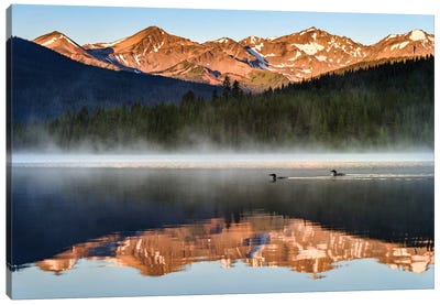 Canada, British Columbia. South Chilcotin Mountains Provincial Park, Spruce Lake Sunrise Reflections And Common Loons. Canvas Art Print - Yuri Choufour