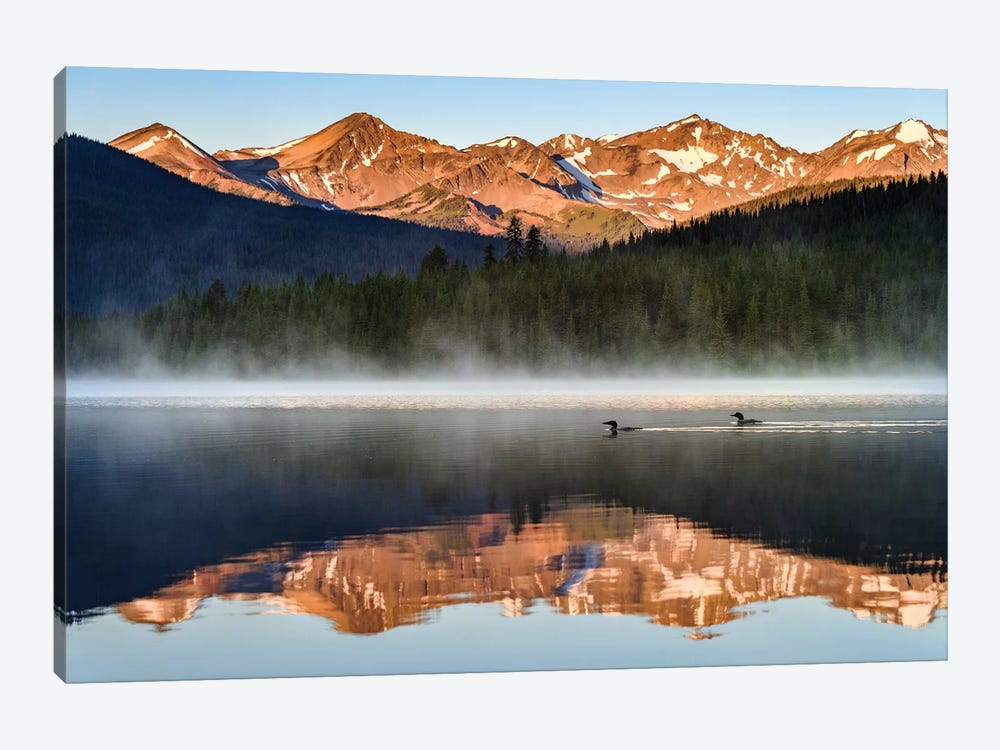 Canada, British Columbia. South Chilcotin Mountains Provincial Park, Spruce Lake Sunrise Reflections And Common Loons. by Yuri Choufour 1-piece Canvas Wall Art