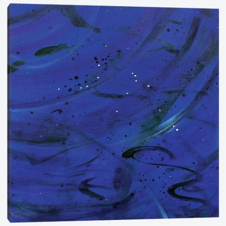 Well Wisher, For Aquarius Canvas Print #YFS113} by Yolanda Fernandez-Shebeko Art Print