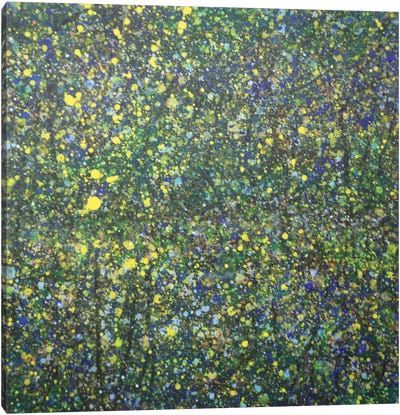 Summer Spot II Canvas Art Print - Similar to Jackson Pollock