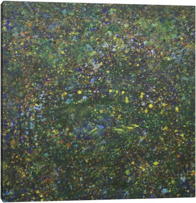 Fishing For Monet Canvas Art Print - Similar to Jackson Pollock