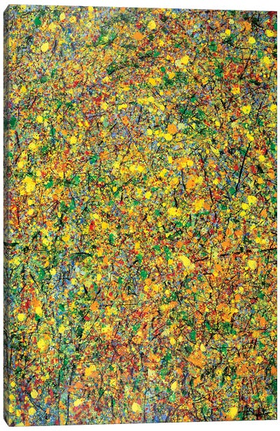 Autumn Aire  Canvas Art Print - Similar to Jackson Pollock