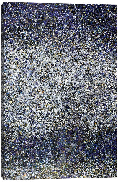 Midnight Snow and Stars  Canvas Art Print - Similar to Jackson Pollock