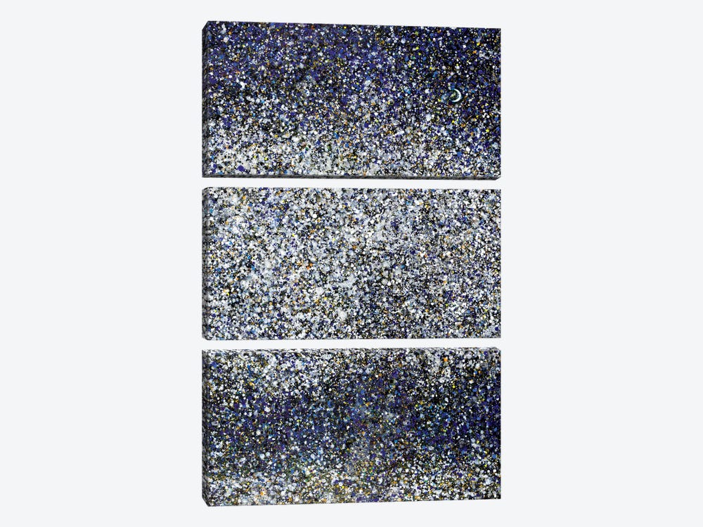 Midnight Snow and Stars  by Yolanda Fernandez-Shebeko 3-piece Art Print