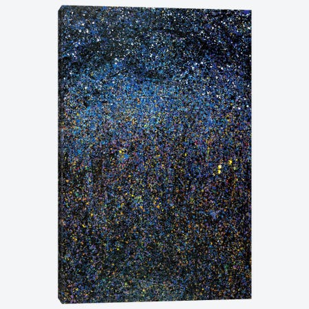 Night Time Landscape  Canvas Print #YFS46} by Yolanda Fernandez-Shebeko Canvas Art