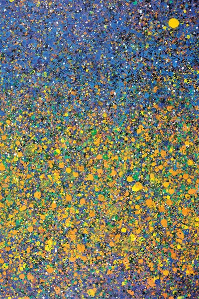 Yolanda Fernandez-Shebeko: Pumpkin Patch I  by Yolanda Fernandez-Shebeko