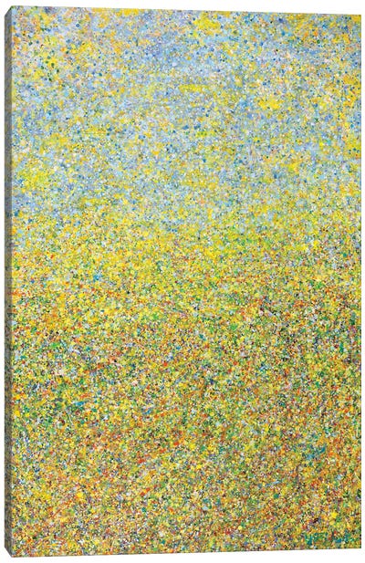 Summer Field  Canvas Art Print - Similar to Jackson Pollock