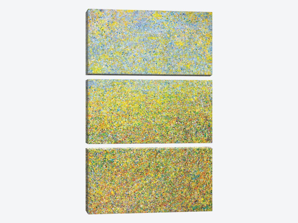 Summer Field  by Yolanda Fernandez-Shebeko 3-piece Canvas Art Print