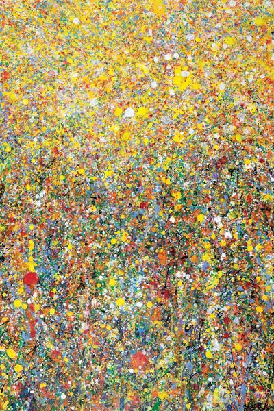 Sunspots  by Yolanda Fernandez-Shebeko canvas print