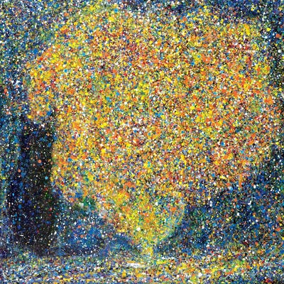 In the Dark  by Yolanda Fernandez-Shebeko framed canvas print