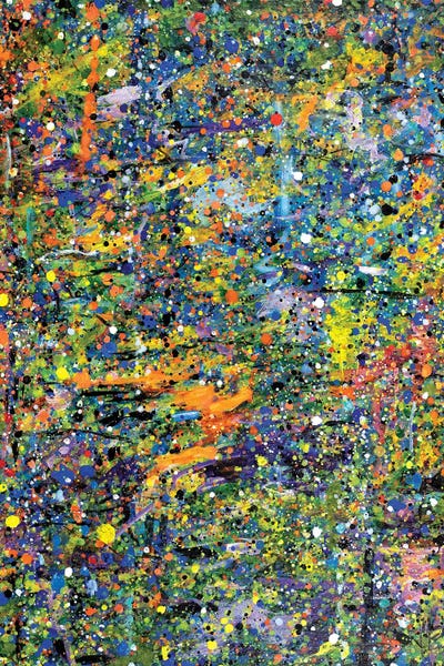 Similar To Jackson Pollock: Perceived Patterns of the Season  by Yolanda Fernandez-Shebeko