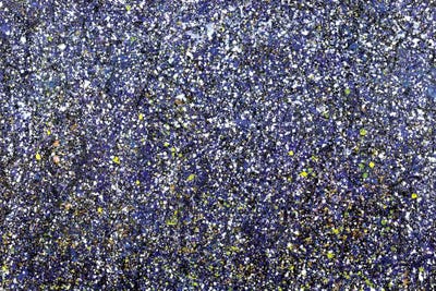 Winter Woods  by Yolanda Fernandez-Shebeko framed canvas print