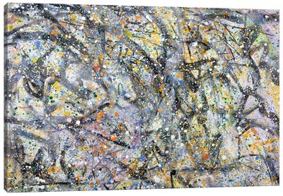 A Big Page From The Book Of Changes Canvas Art Print - Similar to Jackson Pollock