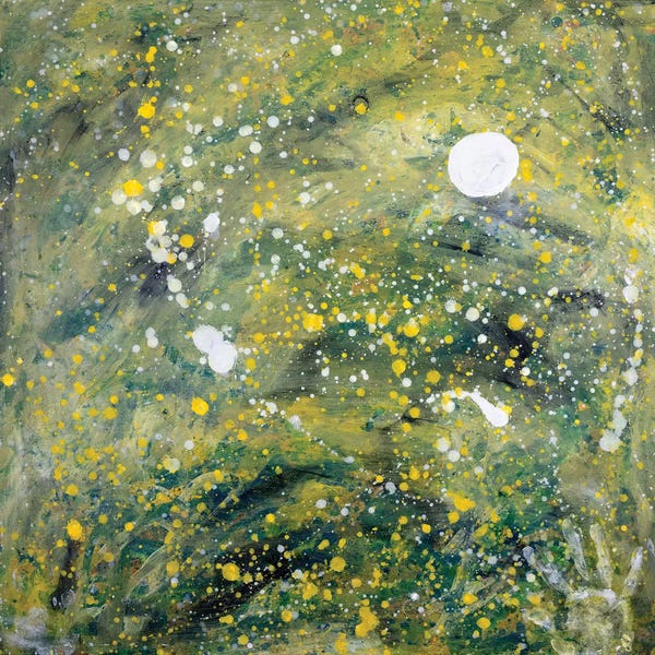 Yolanda Fernandez-Shebeko: Homage To A Passing Obsession by Yolanda Fernandez-Shebeko