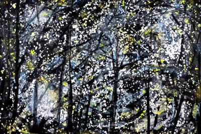 Evening Drive by Yolanda Fernandez-Shebeko multi panel art