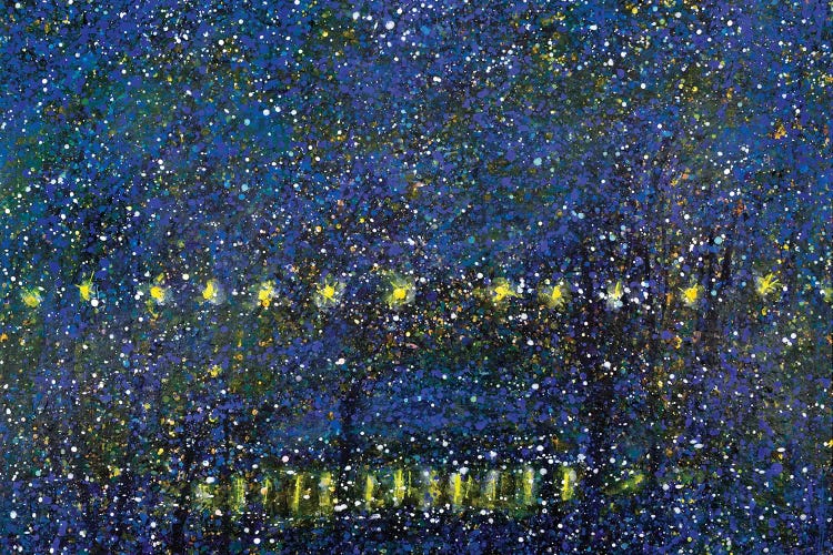 Night Time City Park With Pond by Yolanda Fernandez-Shebeko canvas print