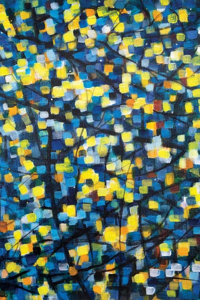 Yolanda Fernandez-Shebeko: September Twilight With Stars by Yolanda Fernandez-Shebeko