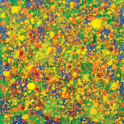 In The Middle Of The Magic Game by Yolanda Fernandez-Shebeko framed canvas print