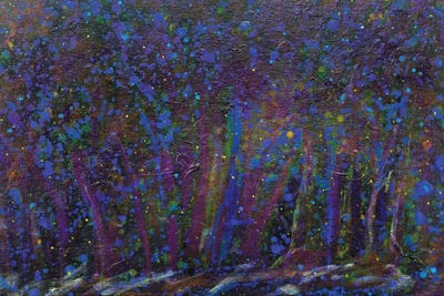 No Moon by Yolanda Fernandez-Shebeko canvas print