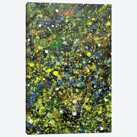 Oak Leaves And Stars I Canvas Print #YFS99} by Yolanda Fernandez-Shebeko Canvas Art