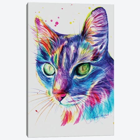 Rainbow Cat I Canvas Print #YGM100} by Yubis Guzman Canvas Artwork