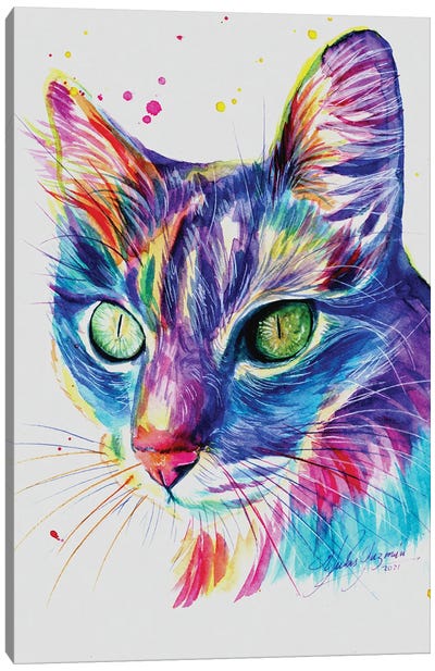 Rainbow Cat I Canvas Art Print - Yubis Guzman