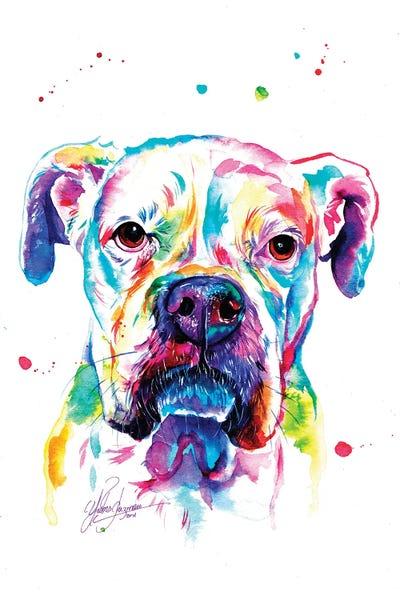 Pit Bulls: White Pitbull II by Yubis Guzman