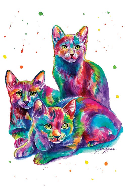 Trio De Gatitos