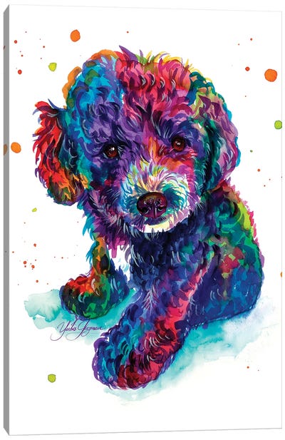 Mi Caniche Azul Canvas Art Print - Poodle Art