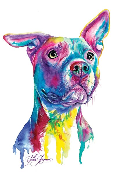 Mi Perro Favorito by Yubis Guzman metal wall art