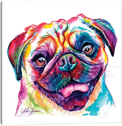 Divertido Pug Canvas Art Print - Pug Art