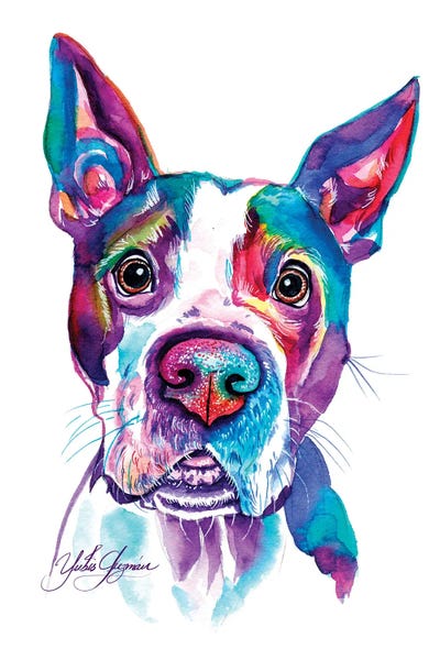 Mi Arcoiris by Yubis Guzman canvas print