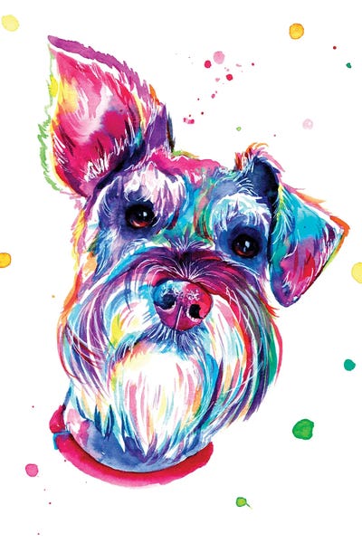 Schnauzers: Lindo Schnauzer by Yubis Guzman