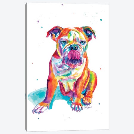 Bulldog Ingles Ojos Azules Canvas Print #YGM123} by Yubis Guzman Canvas Artwork