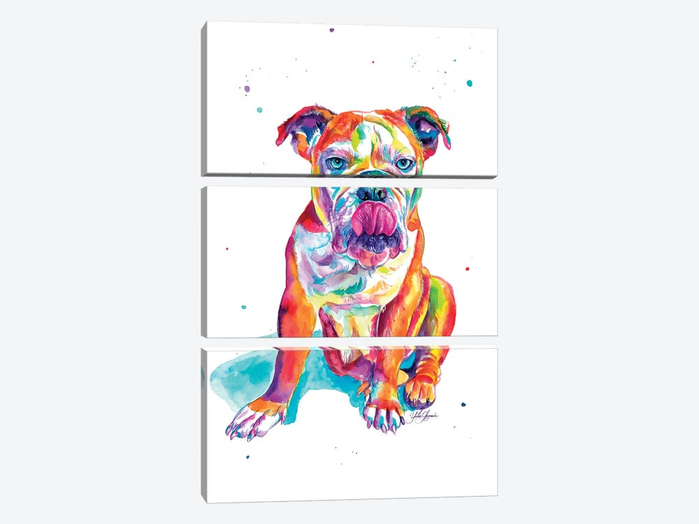 Bulldog Ingles Ojos Azules by Yubis Guzman 3-piece Canvas Art Print