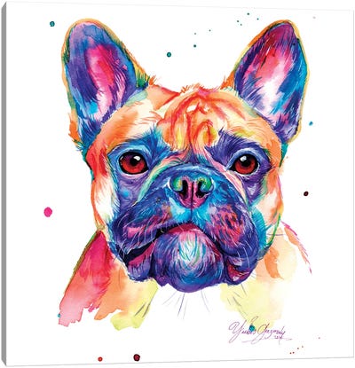 Caballero Bulldog Ingles Canvas Art Print