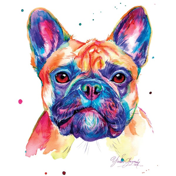 French Bulldogs: Caballero Bulldog Ingles by Yubis Guzman