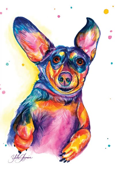 Dachshunds: Divertido Perro Salchicha by Yubis Guzman