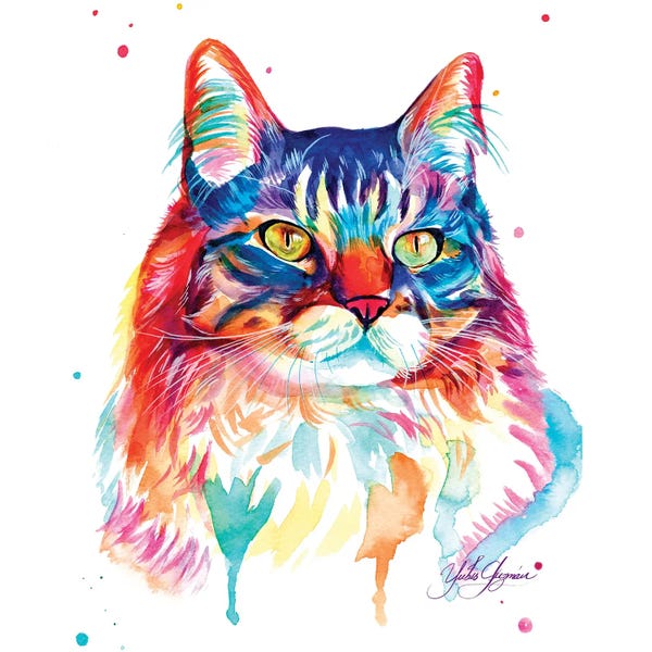 Colorburst: Gato Peludo Colorido by Yubis Guzman