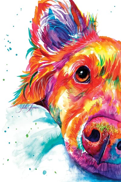 Collies: Colorio Mate by Yubis Guzman