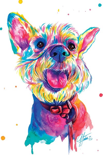 Hermoso Schnauzer by Yubis Guzman metal wall art