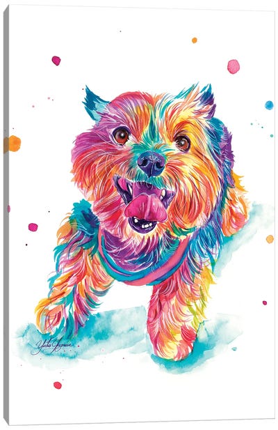 Cachorro Peludo Alegre Canvas Art Print - Yorkshire Terrier Art