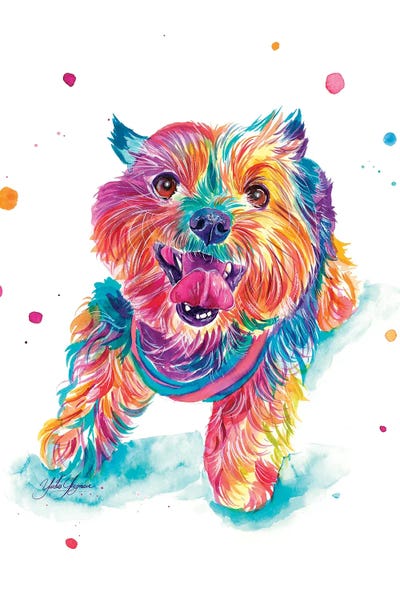 Yubis Guzman: Cachorro Peludo Alegre by Yubis Guzman
