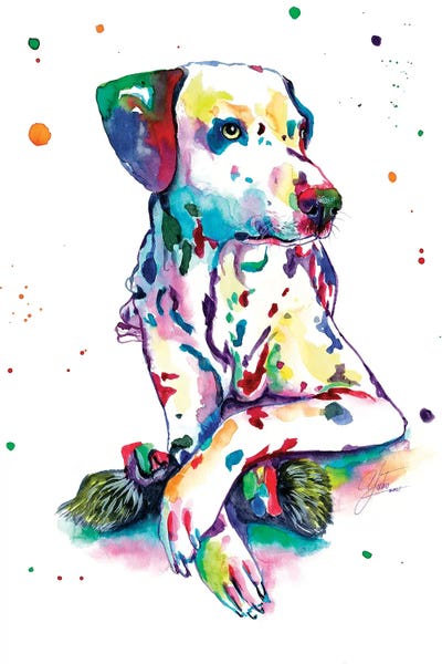 Yubis Guzman: Colorido Dálmata by Yubis Guzman