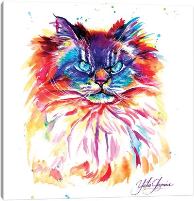 Gato Enojado Canvas Art Print - Yubis Guzman