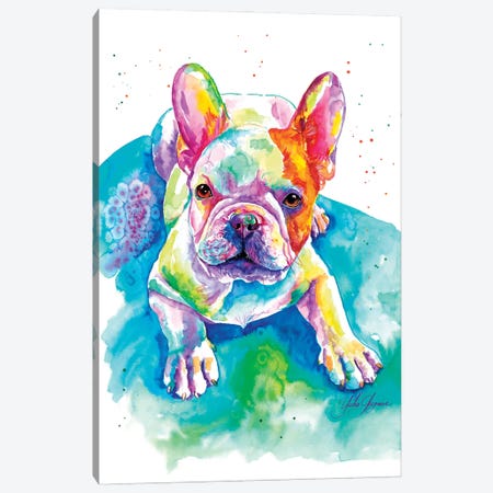 Bulldog Frances Bebé Canvas Print #YGM138} by Yubis Guzman Canvas Art Print