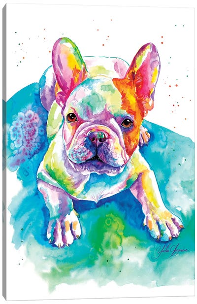 Bulldog Frances Bebé Canvas Art Print - Yubis Guzman