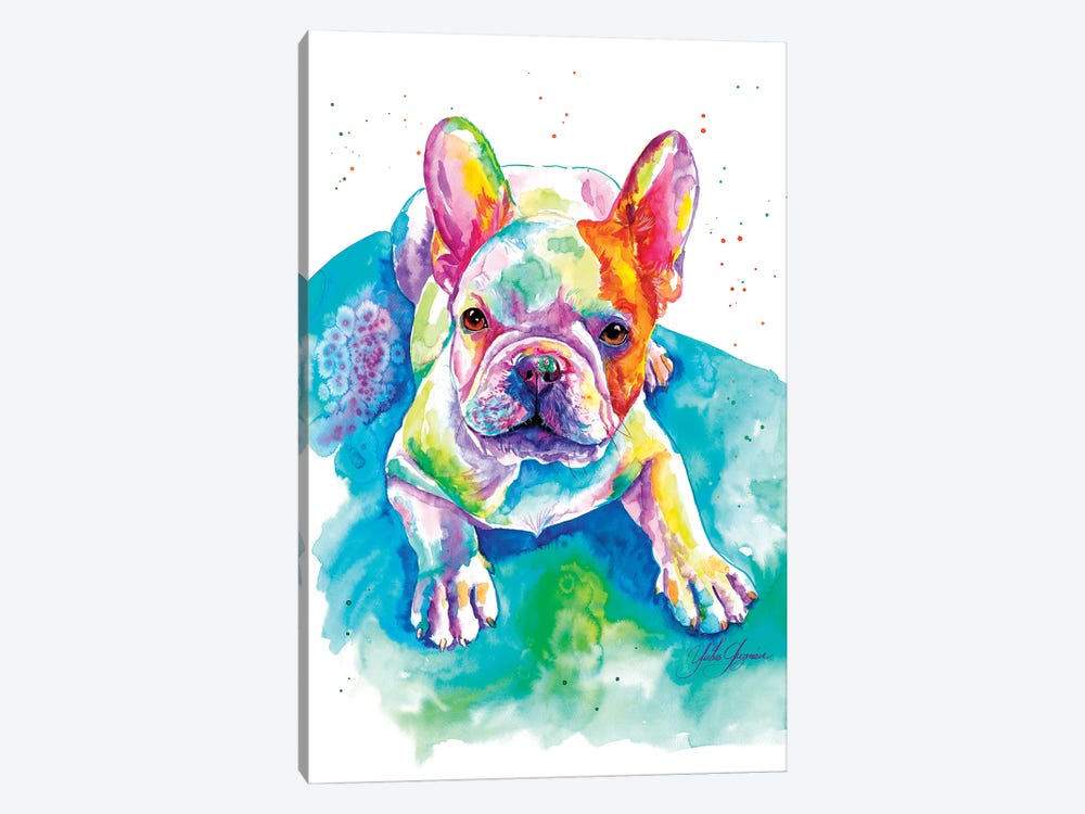 Bulldog Frances Bebé by Yubis Guzman 1-piece Canvas Print